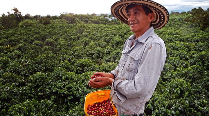 caficultor de racafe con su recoleccion de cafe