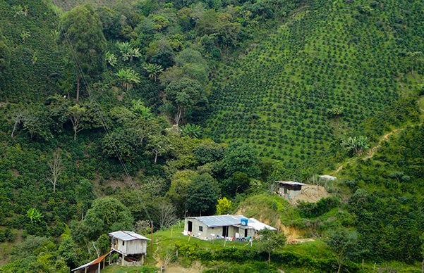 finca-cafetera-monserrate-huila-racafe-atlas-coffee