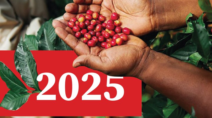 Miniatura reporte de Sostenibilidad 2025